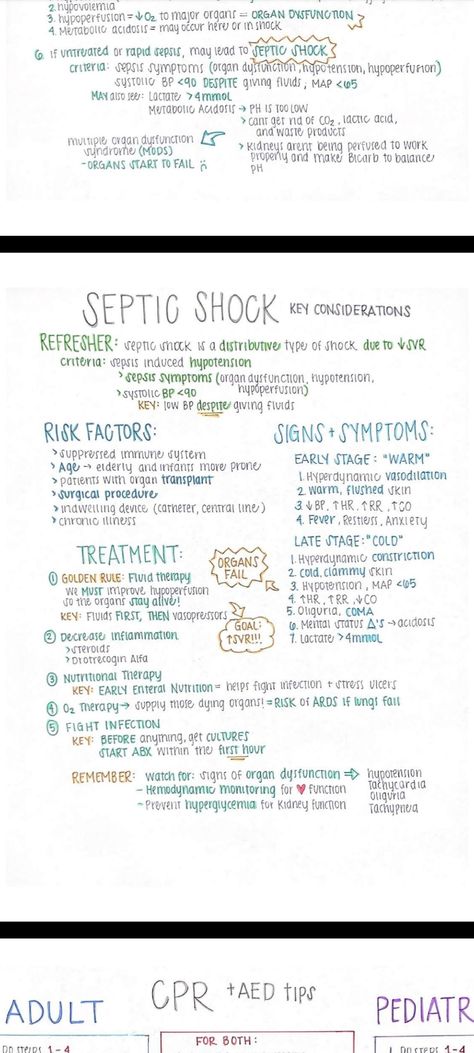 Septic Shock Nursing, Bsn Nursing, Septic Shock, Ed Nurse, Emt Study, Lpn Nursing, Paramedic School, Nursing School Essential, Vet Medicine