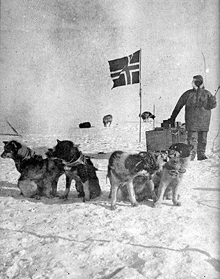 Pictures from the South Pole Expedition - 1911 - Roald Amundsen Roald Amundsen, Heroic Age, Sled Dogs, Interesting History, December 13, Dog Sledding, South Pole, Sled, Historical Photos