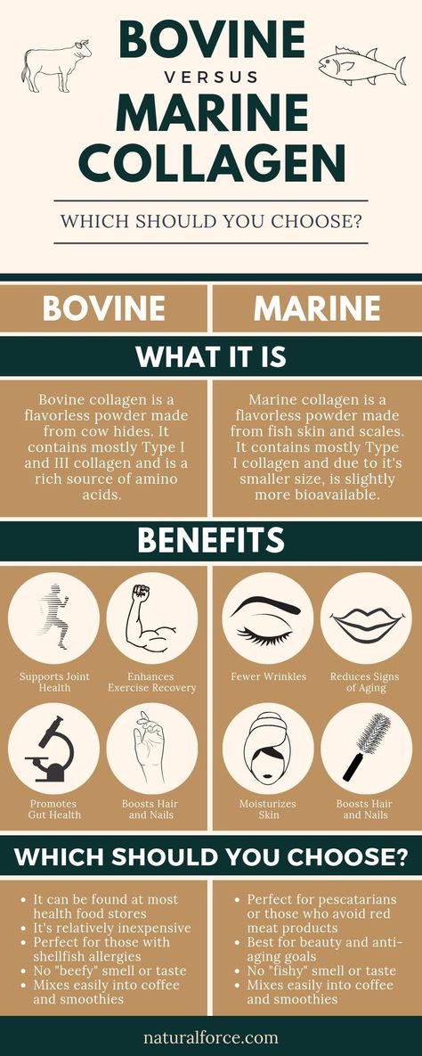 Bovine vs. Marine Collagen: Which Should YOU be Taking? Collagen Peptides Benefits, Health Benefits Of Collagen, Endocannabinoid System, Collagen Benefits, Fish Skin, Health Hacks, Collagen Supplements, Collagen Protein, Marine Fish