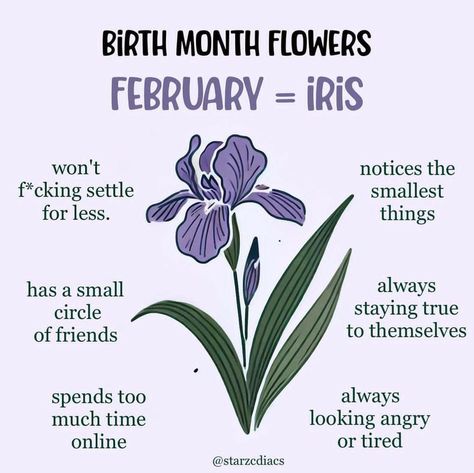 Month Flowers, Birth Month Flowers, Birth Month, Self Care, Flowers