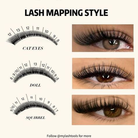 False Lashes Makeup, Lash Tips, Lash Extension Training, Lash Mapping, Lashes Tutorial, Lash Tweezers, Eyelash Tips, Eyelash Technician, Makeup Order