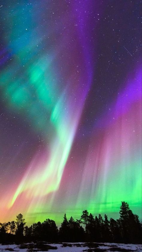 Aurora Borealis. Northern Lights Wallpaper, Northern Lights Art, Northern Lights Photography, Northern Lights Painting, Northern Lights (aurora Borealis), Aurora Borealis Northern Lights, Lit Wallpaper, See The Northern Lights, Cruise Outfits