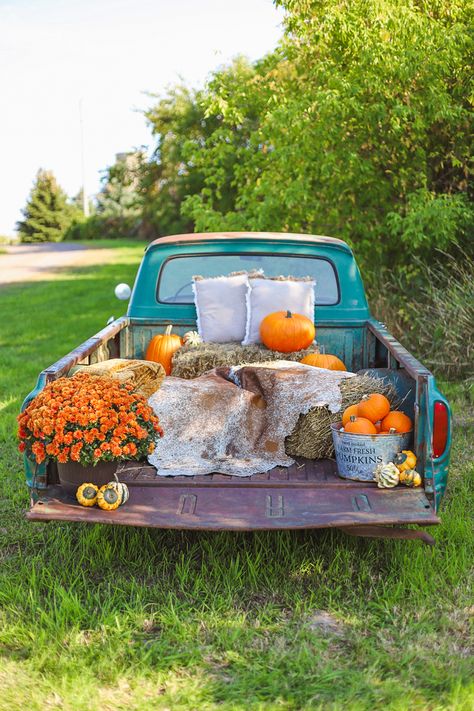 Pumpkins, photography setup, old truck photo, fall family photos, old truck fall photos Back Of Truck Fall Photoshoot, Old Truck Fall Pictures, Old Truck Fall Decorations, Old Truck Decorated For Fall, Antique Truck Fall Photoshoot, Fall Photoshoot With Old Truck, Back Of Pickup Photoshoot, Fall Truck Pictures, Fall Truck Decor Ideas