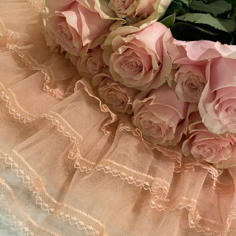 Romantic Academia, Soft Pink Theme, Victorian Aesthetic, Princess Core, Goddess Of Love, Disney Aesthetic, Princess Aesthetic, Pink Themes, Everything Pink