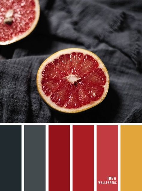 Palette Design, Red Colour Palette, Color Schemes Colour Palettes, Color Palate, Design Seeds, Color Palette Design, Color Balance, Wallpapers Iphone, Color Inspo