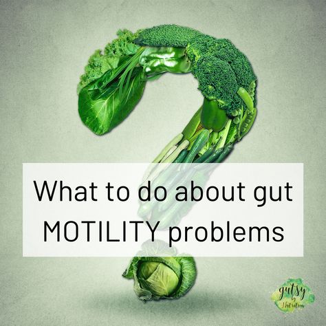 GI Motility Part 2 – How to improve your motility — Gutsy By Nutrition | Health & Wellness Gut Motility, Bile Reflux, Smooth Muscle, Enteric Nervous System, Types Of Muscles, Small Intestine Bacterial Overgrowth, Gastrointestinal Tract, Gut Brain, Gaps Diet