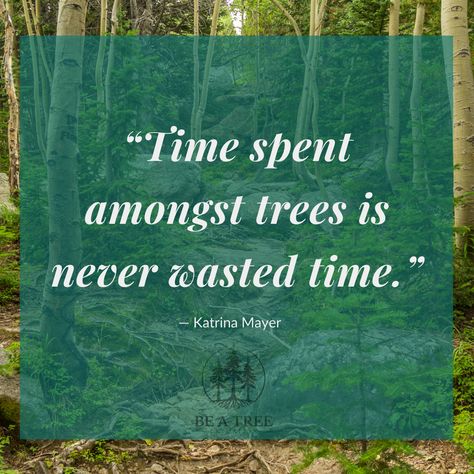 Spend time in nature. "Time spent amongst trees is never wasted time." -Katrina Mayer Spending Time In Nature Quotes, Time Travel Quotes, Tree Therapy, Nature Quotes Trees, Spend Time In Nature, Action Board, Tree Quotes, Ancient Words, Healing Spirituality