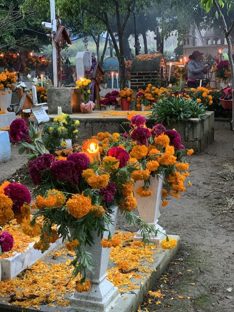 Rich Mexican Aesthetic, Mexico Culture Aesthetic, Chicana Aesthetic, Dia De Los Muertos Decorations Ideas, Mexican Flowers, Living In Mexico, Mexican Culture Art, Mexican Heritage, Mexico Culture