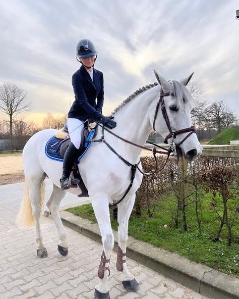 Aesthetic Equestrian, Riding Outfit Equestrian, Horse Riding Aesthetic, Horse Competition, Show Jumping Horses, Horse Riding Outfit, Equestrian Aesthetic, Cute Horse Pictures, Equestrian Chic