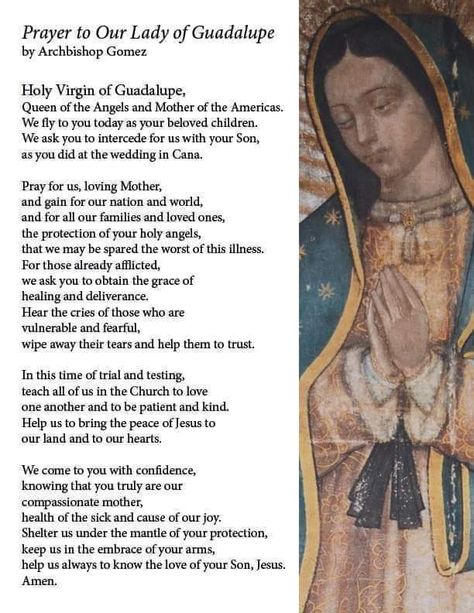 Mary Of Guadalupe, Virgin Mary Praying, Lady Guadalupe, Gospel Quotes, Mary Catholic, Virgin Of Guadalupe, Spiritual Prayers, Special Prayers, Praying The Rosary