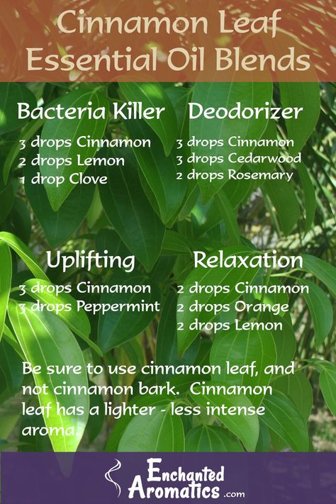 Here are four essential oil blends that can be created using cinnamon leaf as the primary essential oil. Cinnamon Essential Oil Recipes, Cinnamon Essential Oil Blends, Types Of Essential Oils, Candle Recipes, Thyme Flower, Rosemary And Thyme, Bergamot Orange, Cinnamon Essential Oil, Frankincense Myrrh