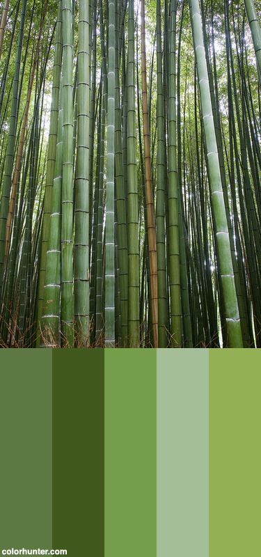 Japan+Color+Scheme Bamboo Colour Palette, Bamboo Color Palette, Japan Color Palette, Japanese Color Palette, Color Palette Shades, Color Thesaurus, Crochet Blanket Colors, Shinrin Yoku, Japan Summer