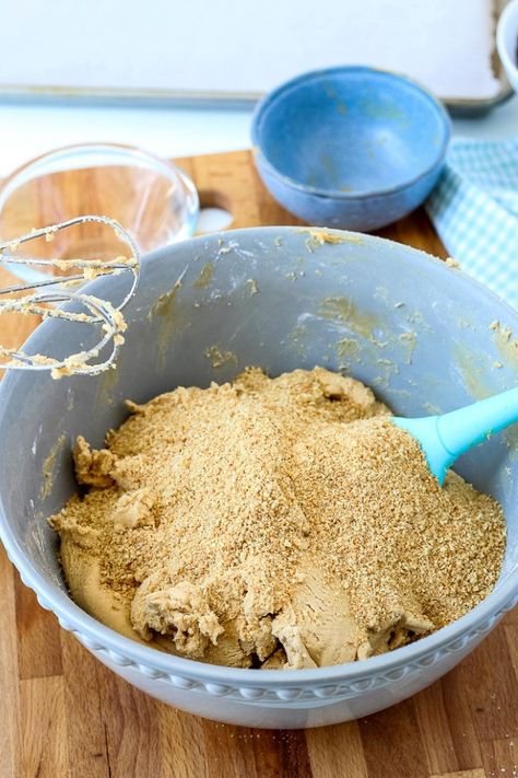 Easy Peanut Butter Balls with Graham Crackers. Make a homemade reese's peanut butter cup ball for your christmas and holiday cookie trays. They are an easy, no bake recipe. A fun baking recipe to try with the family and include the kids. #peanutbutterballs #grahamcrackers #christmascandy #nobake Peanut Butter Balls No Bake Graham Crackers, Peanut Butter Balls With Graham Crumbs, Graham Cracker Peanut Butter Balls, Peanut Butter Graham Cracker Balls, Peanut Butter Balls With Graham Crackers, Peanut Butter Rice Krispie Balls, Easy Peanut Butter Balls, Peanut Butter Chocolate Balls, Christmas Sweets Recipes