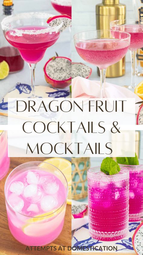 16 Dragon Fruit Cocktail and Mocktail Ideas - Attempts At Domestication Dragon Fruit Vodka Drinks, Dragon Fruit Tequila Drink, Dragonfruit Drink Recipes, Dragon Themed Drinks, Dragon Fruit Cocktail Drinks, Dragonfruit Cocktail Vodka, Dragon Fruit Cocktail Vodka, Dragon Berry Bacardi Drinks, Dragon Appetizers