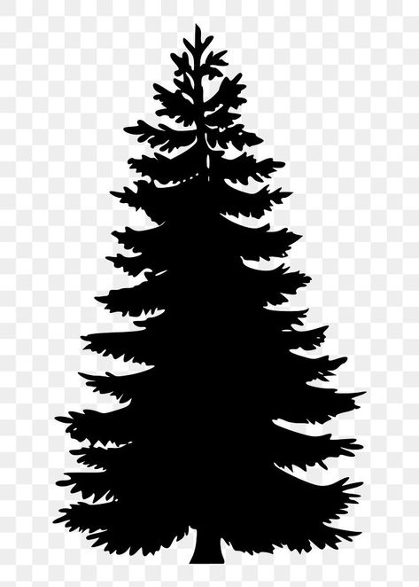 Pine Tree Svg Free, Tree Svg Free, Botanical Silhouette, Silhouette Tree, Tree Photoshop, Pine Tree Silhouette, Tree Vector, Tree Png, Sitka Spruce