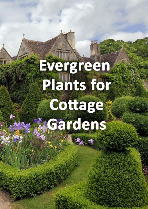 Evergreen Front Garden Uk, Winter Garden Landscape Design, Evergreen Raised Bed, Evergreen Garden Design Front Yards, Evergreen Garden Bed, Cottage Garden Evergreen Plants, Evergreen Front Garden, Planting In Front Of Hedge, Cottage Garden Winter