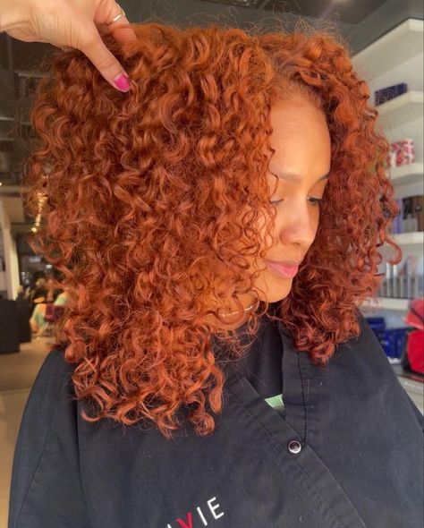 Curly Dark Orange Hair, Copper Curly Hair Natural Curls, Burnt Orange Hair Dye, Copper Red Hair Color Black Women, Dyed Copper Hair, Copper Curly Hair Black Women, Ginger Curly Hair Black Women, Copper Natural Hair, Ginger Hair Curly