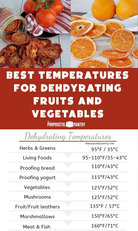 Dehydrator Recipes Fruit, Best Food Dehydrator, Dehydrating Food Storage, Proofing Bread, Food Dehydration, Food Dehydrators, Vegetable Chips, Dehydrated Vegetables, Canning Food Preservation