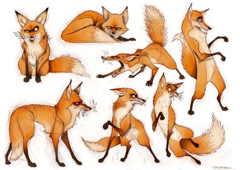 ArtStation - Fox, Thibault LECLERCQ Fox Character, Character Design Cartoon, Fox Drawing, Fox Illustration, Fox Art, Animal Sketches, Fantasy Warrior, Character Design References, Creature Design