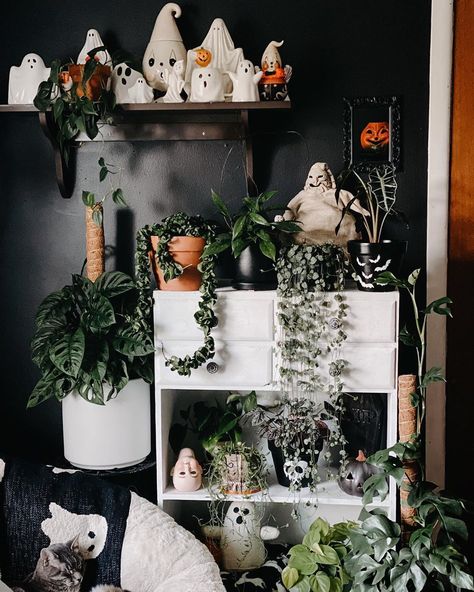 Spooky Plant, Green Goth, Dorm Things, Creepy Home Decor, Goth Office, Dark Industrial, Home Sweet Haunted Home, Tomb Sweet Tomb, Collection Room