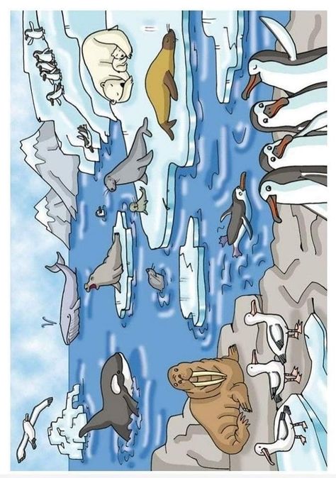 Polar Animals Preschool, Arctic Animals Preschool, Winter Animal Crafts, Diorama Kids, Antarctic Animals, Urs Polar, Winter Art Lesson, Winter Activities Preschool, Pole Nord