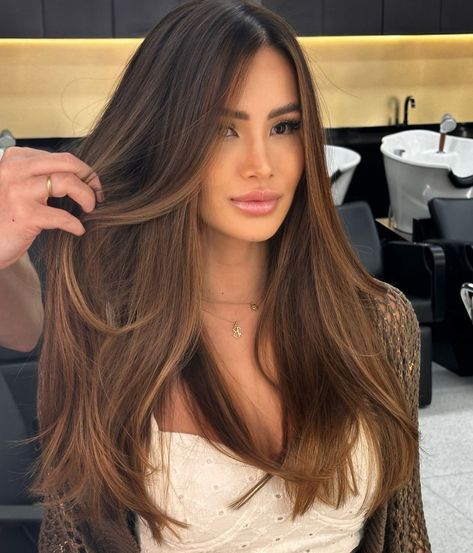 Coffee Brown Hair, Balayage Hair Caramel, Rambut Brunette, Brown Hair Shades, Black Hair Balayage, Wine Hair, Brown Hair Looks, Hair Inspiration Long, Brunette Hair With Highlights