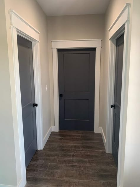 Interior Door Colors, Dark Doors, Home Inspo Exterior, Painted Interior Doors, Door Makeover Diy, Home Inspo Cozy, Black Interior Doors, Diy House Renovations, Door Colors