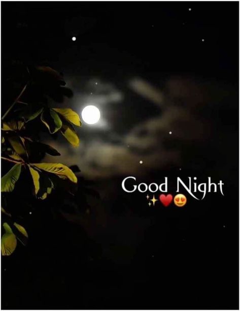 Goodnight Cute Images, Messages For Your Girlfriend, Good Night Pic, Cute Good Night Messages, शुभ रात्री, Good Night Status, Gud Night, Good Night Text Messages, Goodnight Images