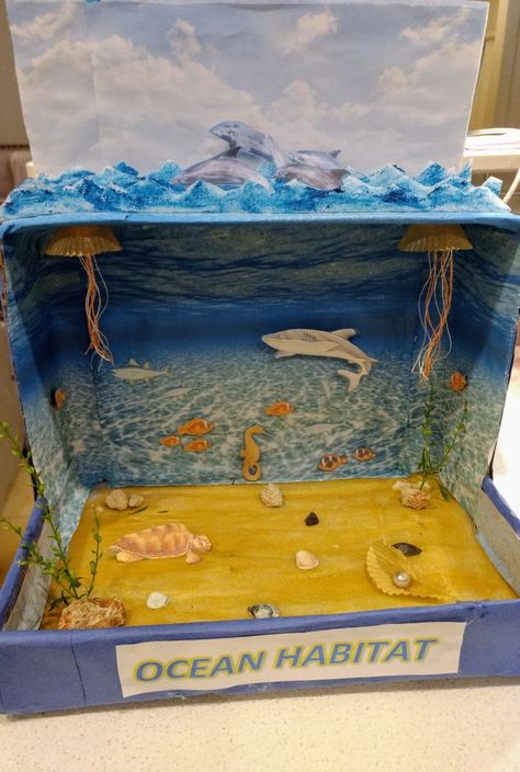 Marine Ecosystem Project, Ocean Habitat Diorama, Underwater Habitat, Shoe Box Diorama, Habitat Project, Diorama Project, Aquarium Craft, Ecosystems Projects, Habitats Projects