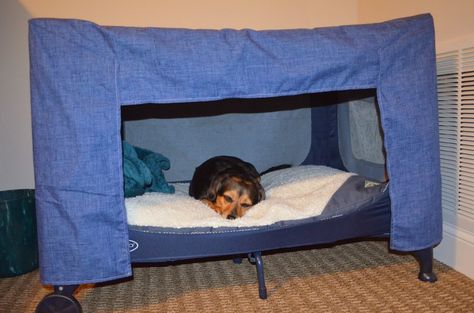 DSC_0010 you should make this for your dogs!!!! @stephro85 Pack N Play Repurpose Diy For Dogs, Animal Fostering, Pack N Play Toddler Bed, Bed Hacks, Portable Dog Kennels, Diy Cat Tower, Pet Crafts, Diy Dog Kennel, Dogs Stuff