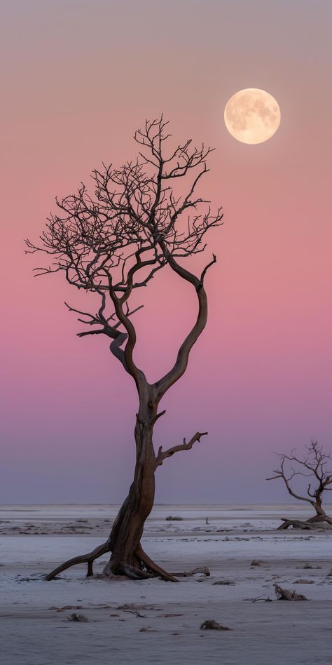 "Embrace the serene beauty of a leafless tree under a captivating sky, painted with shades of pink and purple beside a glowing full moon. 🌕✨ Save, follow @TheTreeTee for more wonders. #NatureArt #MoonMagic #StarrySky #Tranquility #AiImage" Leafless Tree, Colorful Sunsets, Moon Tree, Snape Harry, Single Tree, Nature Wallpapers, Beautiful Background, Moon Magic, Beautiful Backgrounds