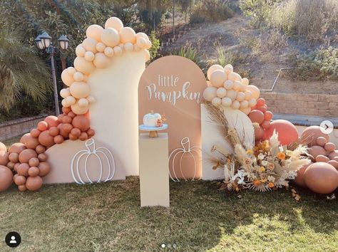 Pumpkin Party Backdrop, September Baby Showers, Pumpkin Theme Baby Shower, Lil Pumpkin Baby Shower, November Baby Shower, Fall Baby Shower Themes, Gender Reveal Baby Shower Themes, Baby Shower Balloon Arch, October Baby Showers