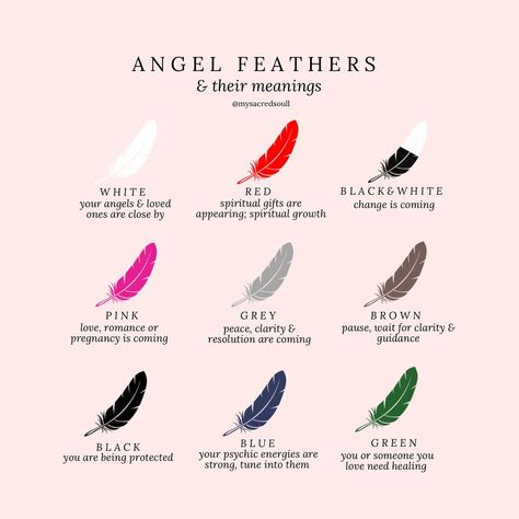 feathers are a symbol of connection to the spiritual realm. here’s some meanings behind their colours 🪶✨🪽 www.mysacredsoul.co.uk #signs #payattentiontothesigns #signsfromtheuniverse #signsfromabove #signsfromspirit #signsfromheaven #feathers #feathermeanings #synchronicity #synchronicities #feathermeanings #angelsigns #crystalshop #crystalshopuk #intuitivehealer #crystalhealer Feather Meaning Spiritual, Spiritual Meaning Of Feathers, Feather Symbolism Meaning, Feathers Spiritual Meaning, Feather Meaning Symbols Spiritual, Feather Spiritual Meaning, Feather Signs, Feather Symbolism, Feather Tattoo Meaning