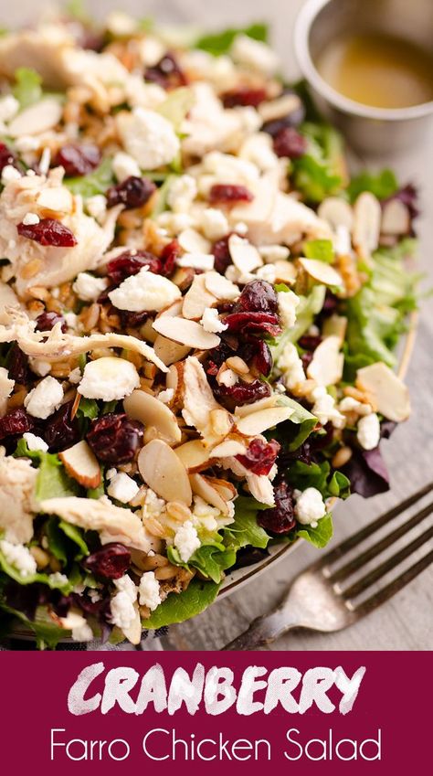 Salad In Jar, Salad Recipes Healthy Dinner, Healthy Dinner Salads, Farro Recipes, Apple Cider Vinaigrette, Cider Vinaigrette, Healthy Chicken Salad, Dinner Salad, Salad In A Jar