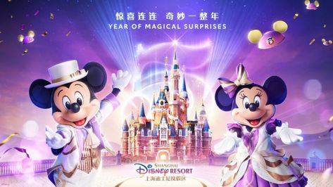 Disney Box, Disney Surprise, Shanghai Disneyland, Disneyland Planning, Disney World Characters, Birthday Souvenir, Shanghai Disney Resort, Disney Posters, Tokyo Disney Sea