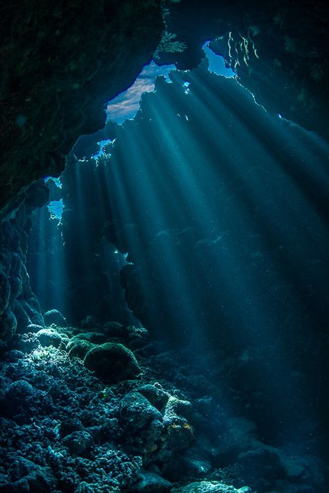 Rauch Fotografie, Water Aesthetic, Misty Morning, Mermaid Aesthetic, Ocean Wallpaper, Red Sea, Underwater Photography, Sea And Ocean, Underwater World