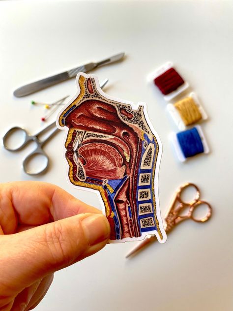 Cute and quirky hand embroidered head sticker. Perfect for adding a touch of personality to your belongings. #handembroidery #embroidery #stickers . #Medical_Illustrations #Anatomical_Embroidery #Medical_Embroidery #Anatomy_Embroidery Embroidery Anatomy, Medical Embroidery, Anatomy Embroidery, Embroidery Stickers, Revision Notes, Embroidered Designs, Floral Embroidery Patterns, Cute School Supplies, Personalized Embroidery