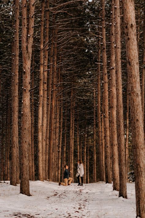 Winter Proposal Ideas Engagement, Christmas Engagement Proposal, Forest Proposal, Wedding Proposal Ideas Engagement, Outdoor Proposal, Cute Proposal Ideas, Tall Pine Trees, Proposal Inspiration, Winter Proposal