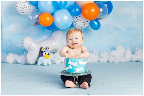 Bluey Photoshoot Toddler, Bluey Photoshoot, Bluey 1st Birthday Photoshoot, Bluey Cake Smash Photoshoot, Bluey Themed Smash Cake, Bluey Smash Cake Boys, Bluey Smash Cake, 1st Birthday Bluey Theme Smash Cake, Bluey Cake Smash Photography