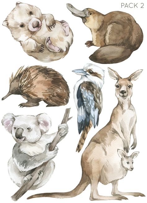 Australian Animal Wall Decals, Australian Animal Nursery - Fable and Fawn