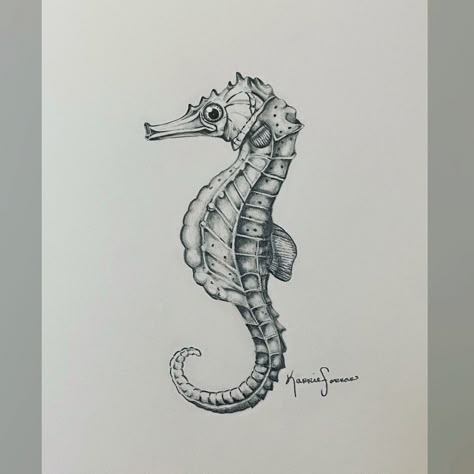 Seahours Drawing, Drawing Of A Seahorse, Sea Horses Drawing, Sea Horse Drawings, Seahorse Drawings, Small Seahorse Tattoo, Realistic Seahorse Tattoo, Sea Horse Tattoo Design, Sea Horse Drawing Easy