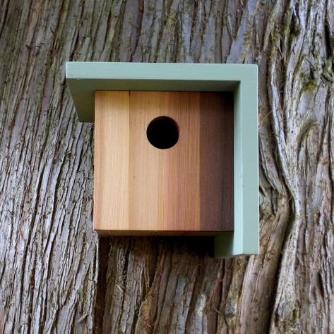 Birdhouse In Your Soul, Solid Stain Colors, Modern Birdhouses, Bird House Feeder, Rustic Birdhouse, Bird House Plans, Birdhouse Designs, Modern Birds, Teak Oil