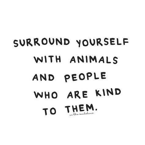 "Surround yourself with animals and people who are kind to them." Kindness To Animals Quotes, Animal Kindness Quotes, Animal Welfare Quotes, Animal Rights Quotes, Animal Lover Quotes, Animal Activism, Vegan Quotes, Animal Welfare, Animal Quotes