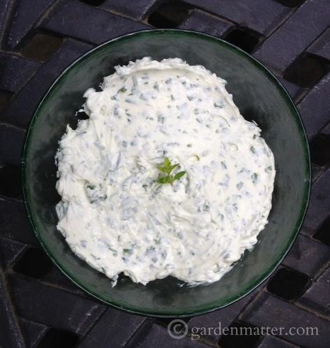 Creamy Herb Spread Cream Cheese Chip Dip, Green Onion Cream Cheese, Scallion Cream Cheese, Cheese Chip Dip, Homemade Mango Ice Cream, Seasoned Sour Cream, Sour Cream Substitute, Cracker Dip, Cream Cheese Spread