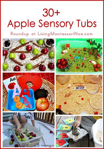 30+ Apple Sensory Tubs | Living Montessori Now! Apple Sensory, Preschool Apple Theme, September Preschool, Fall Sensory Bin, Apple Lessons, Sensory Tubs, Sensory Tub, Apple Preschool, Apple Unit