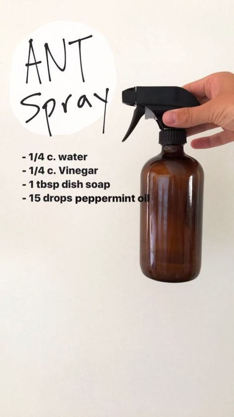 Pin on oils Ant Spray Diy Homemade Essential Oils, Natural Ant Spray, Natural Ant Repellant For Garden, Ant Spray Diy Homemade How To Get Rid, Diy Ant Repellant Indoor, Ant Spray Essential Oils, Essential Oil Ant Spray, Ant Repellent Diy Outdoor, Diy Ant Spray Indoor