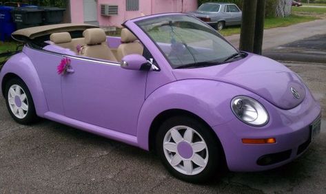 Purple Bug Car, Purple Mini Cooper, Pink Fuzzy Dice, Beatles Car, Volkswagen Beetle Interior, Pink Steering Wheel, Pink Car Interior, Pink Car Seat Covers, Pink Steering Wheel Cover