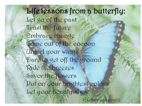 Quotes About Friends And Butterflies. QuotesGram Butterfly Spirit Animal, Butterfly Quotes, Blessed Quotes, Quotes By Authors, Embrace Change, Powerful Quotes, Spirit Guides, A Butterfly, Blue Butterfly