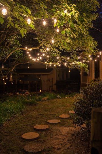 Backyard Party Lighting, Diy Patio Ideas, Outdoor Wedding Lighting, Outdoor Path, Outdoor Party Lighting, Patio String Lights, Outdoor Trees, Patio Diy, Backyard Lighting