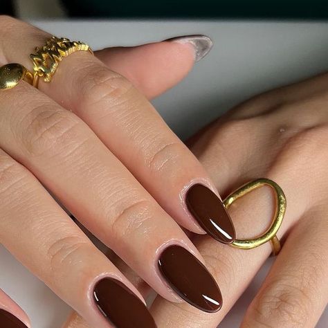 Mina🦋 on Instagram: "This beautiful chocolate brown is everything 🧸🍫🤎  Happy Sunday!! structured mani✨✨  @dndgel walnut brown  Dc:nailsxmina25 _____  #nailsxmina #almondnails #classynails #brownnails #nailsofinstagram #gelmani #gelx #structuredmani #gelxnailtech #naildesign #nailsinspiration #nailartist #nailsinstagram #growingnailtech #ignails #nailtech #nails #nailsnailsnails #explorepage #glazeddonutnails #nailart #naildesign #nailinspo #fallnails #nailinspodaily #nailsoftheday #nailsofinsta #nailsoftheday #nailsonfleek #nailaddict" Deep Brown Nails Acrylic, Brown Nails Chocolate, Nails To Go With A Brown Dress, Chocolate Colour Nails, Acrylic Nails Brown Design, Brown Nails Oval Shape, Rich Brown Nails, Dark Brown Oval Nails, Choc Brown Nails